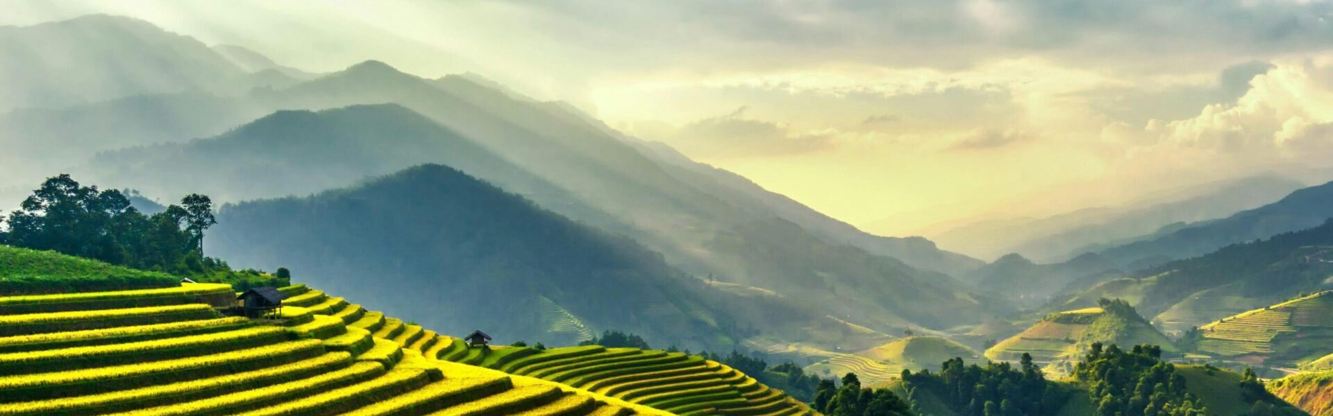 Afbeelding van rijstvelden en bergen op de achtergrond als banner